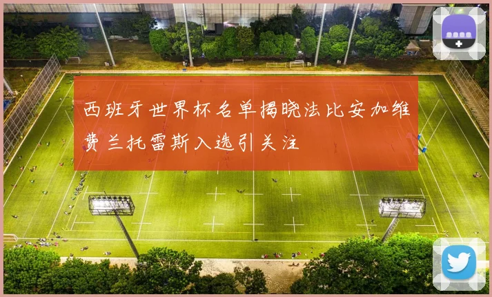 西班牙世界杯名单揭晓法比安加维费兰托雷斯入选引关注